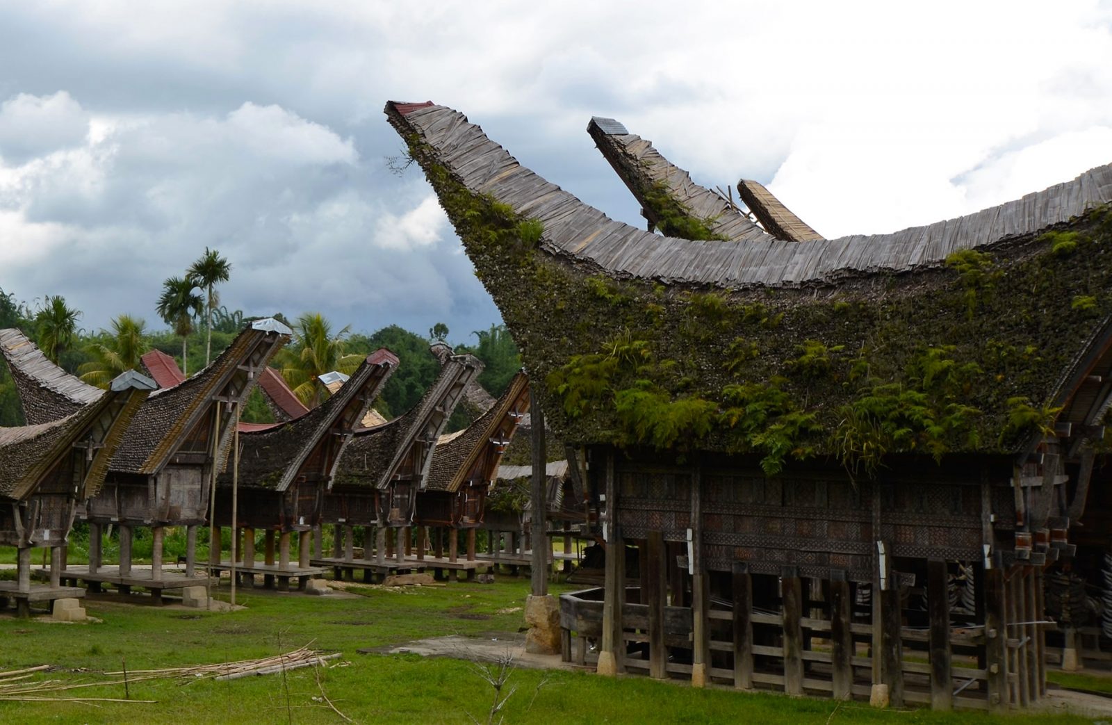 スラウェシ島】トラジャ族、生死の宇宙観を感じ、幻の珈琲を求める5