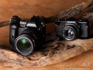 ZUIKO AUTO-1:1 MACRO 80mm F4 | OMマニア