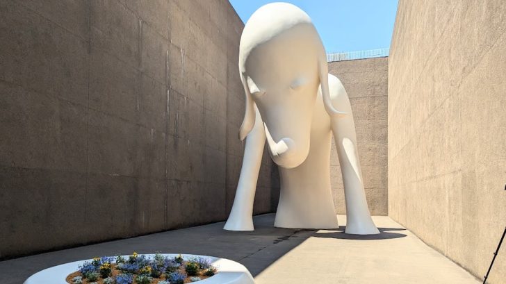 青森県立美術館の感想と完全ガイド！奈良美智のあおもり犬、シャガール