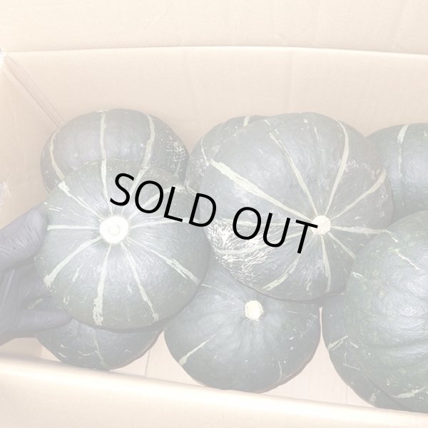 沖縄県産 フルーツ 島野菜 南瓜 pumpkin