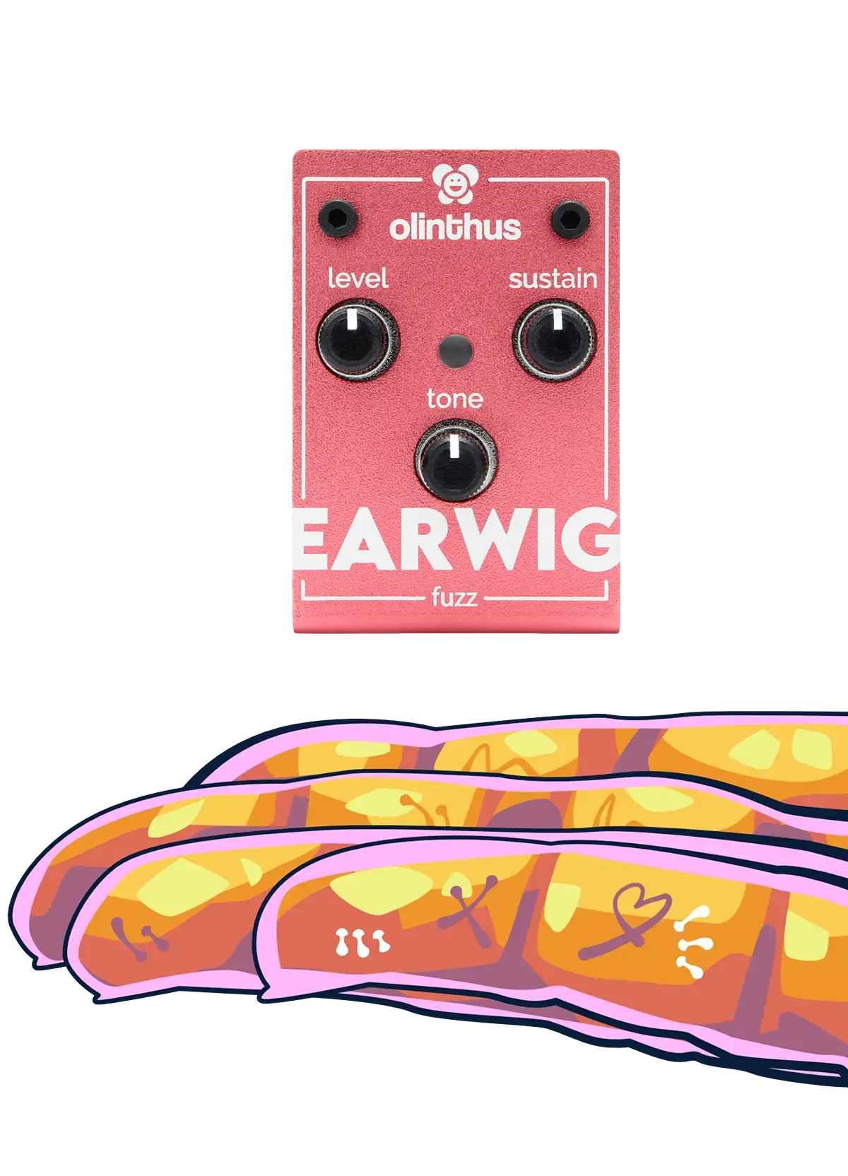 World's Smallest Effects Pedal! – Earwig Fuzz - Olinthus