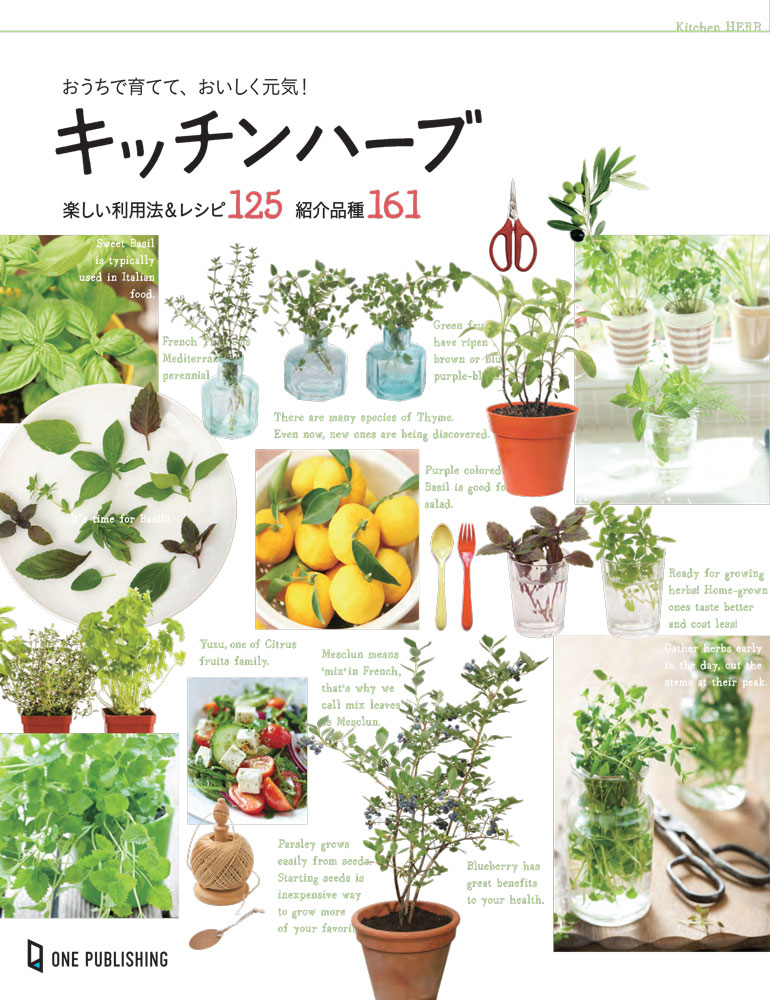 おうちで育てて、おいしく元気！キッチンハーブ｜株式会社ワン