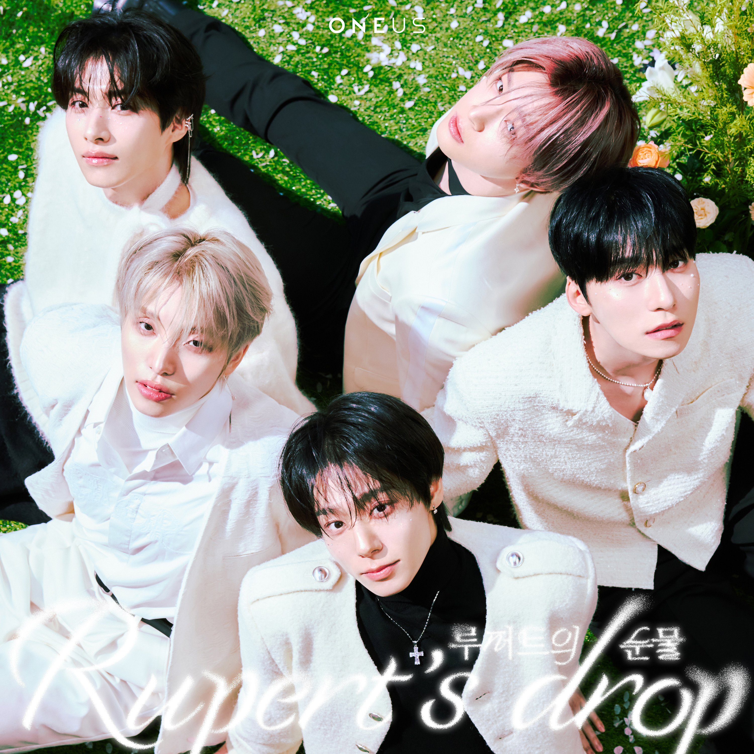 DISCOGRAPHY | ONEUS JAPAN OFFICIAL SITE