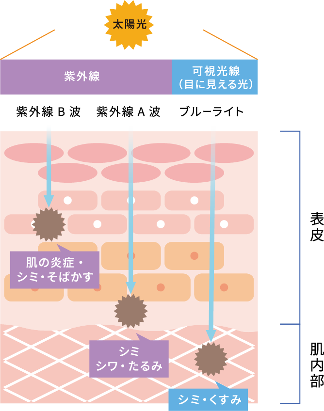 UVプロテクター50＋ - オンリークリニック