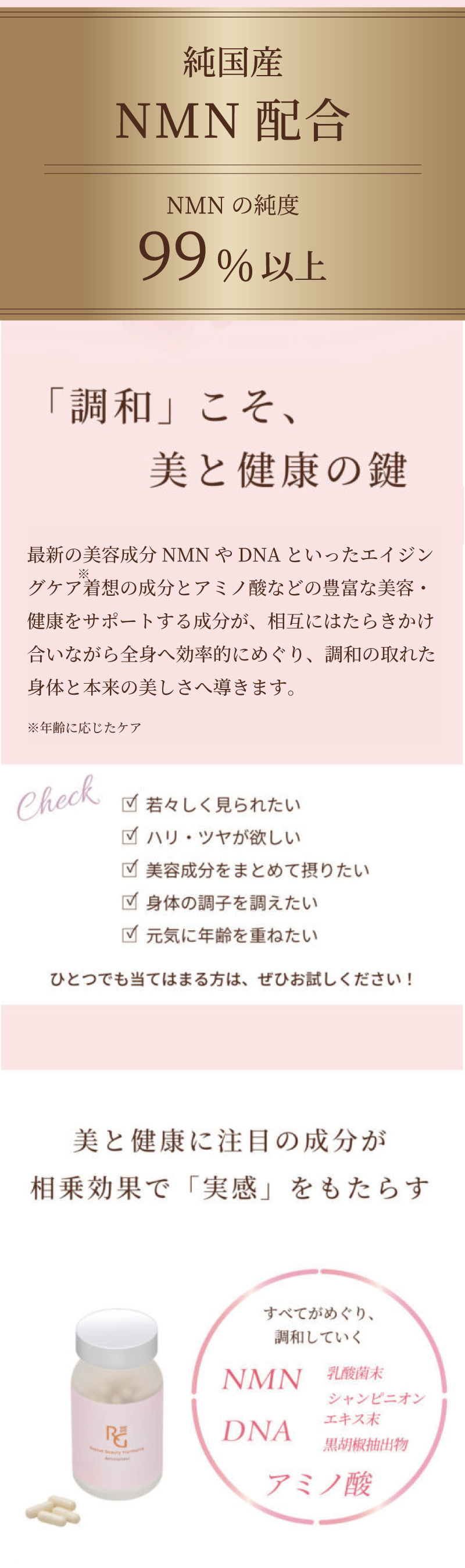 EBM ONLINE STUDIO / アールジー ネイティヴビューティー ハルモニア