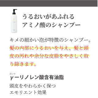 EBM ONLINE STUDIO / ヘアラスター シャンプー 300mL