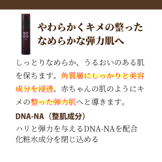 EBM ONLINE STUDIO / ローズガルヴァーニ スキンナビゲーター