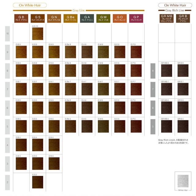 プロステップ グレイカラー | カラー剤 | FIVE WEB STORE | 理美容卸