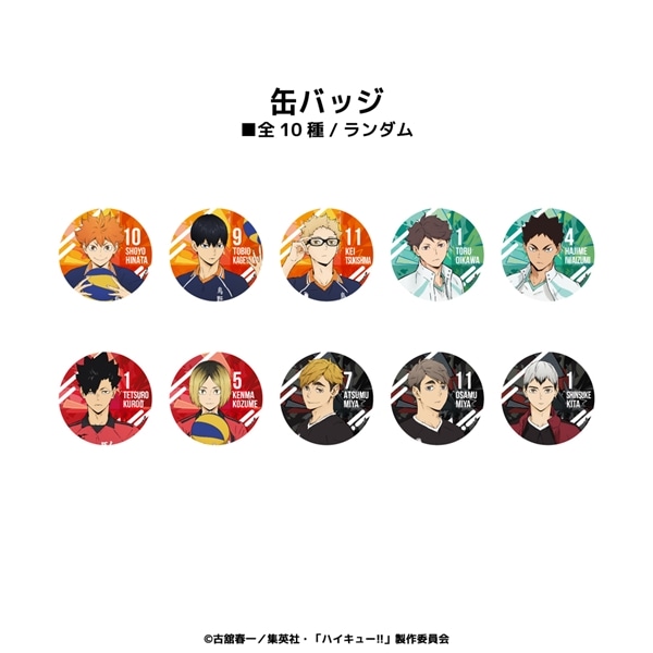 ハイキュー!! | ランダム缶バッジ (全10種) | 単品 (完全ランダム