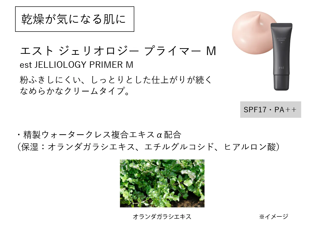 エスト ジェリオロジー プライマー M | est（エスト）公式オンライン