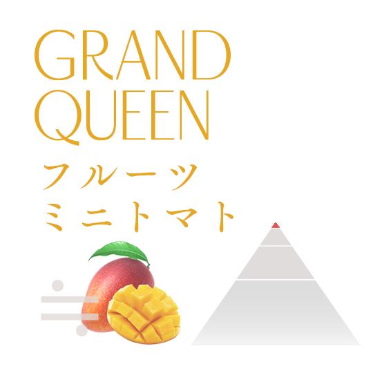 フルーツミニトマト GRAND QUEEN アソートBOX 約250g | OSMIC FIRST