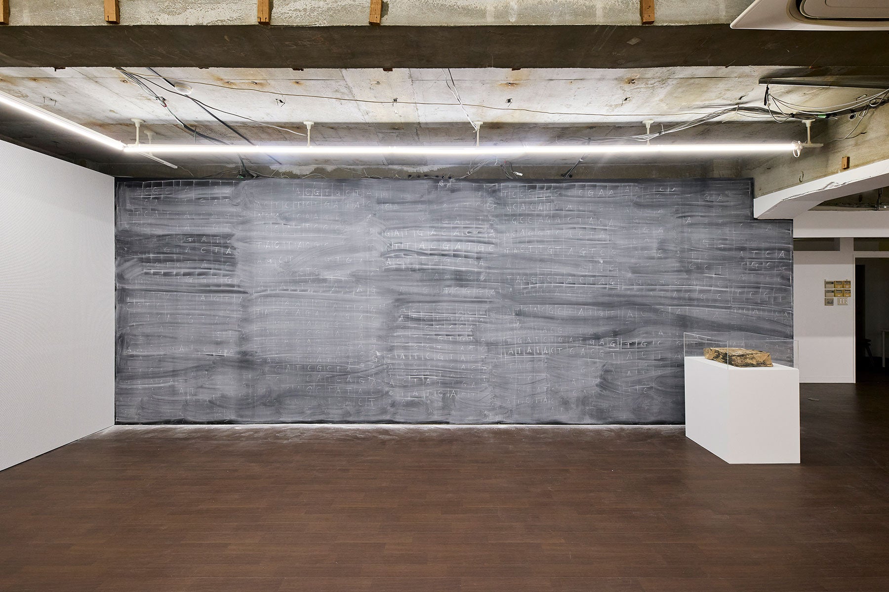 シュウゾウ・アヅチ・ガリバー｜Shuzo Azuchi Gulliver｜Study：大阪