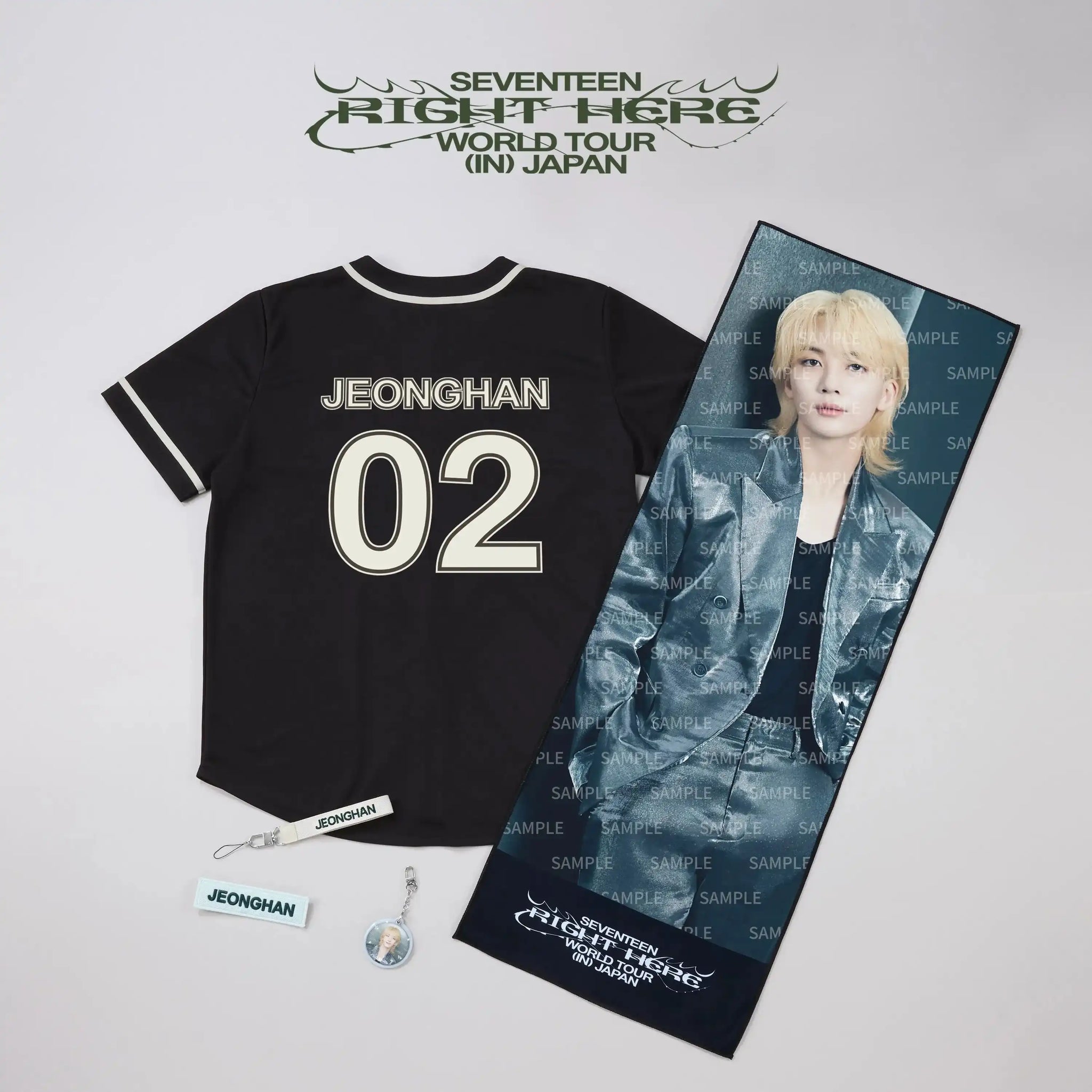 Buy SEVENTEEN [RIGHT HERE] World Tour In Japan Official MD Merch