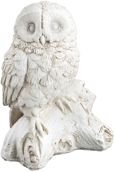 別途送料】【個人宅不可】ｳﾗﾙﾌｸﾛｳ(6個入り): デコレーションアイテム