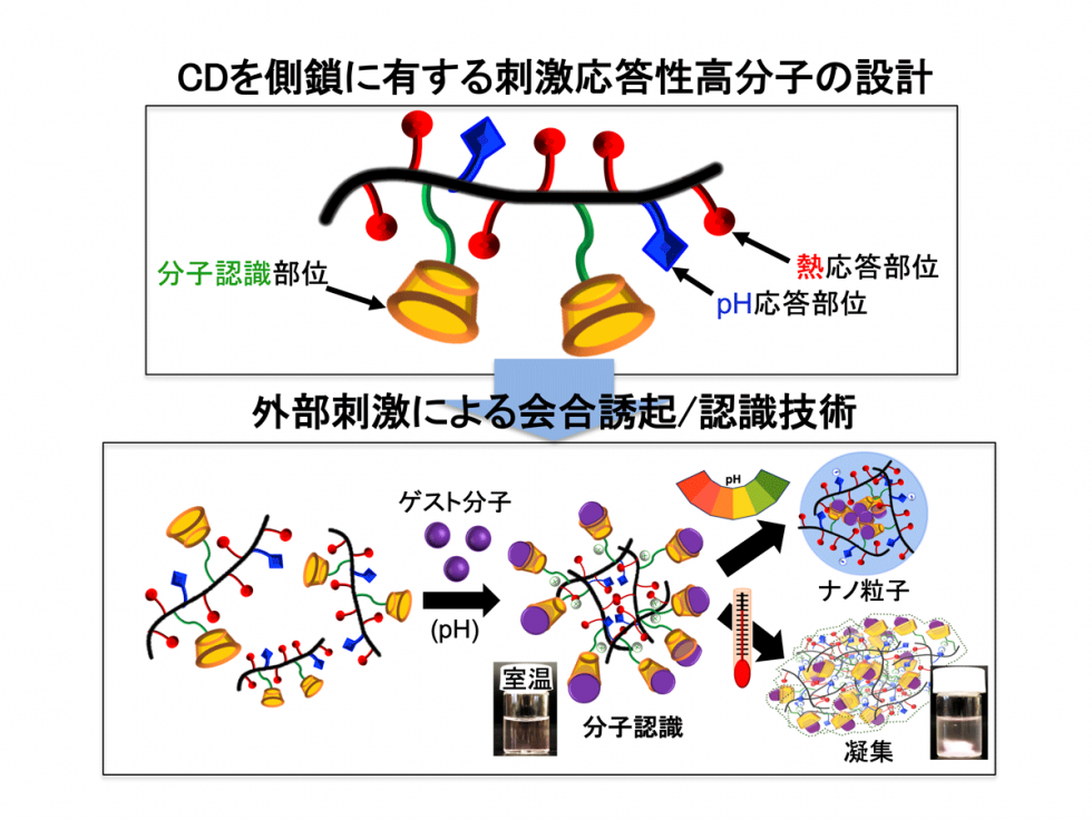 地方独立行政法人大阪産業技術研究所｜界面活性剤研究室