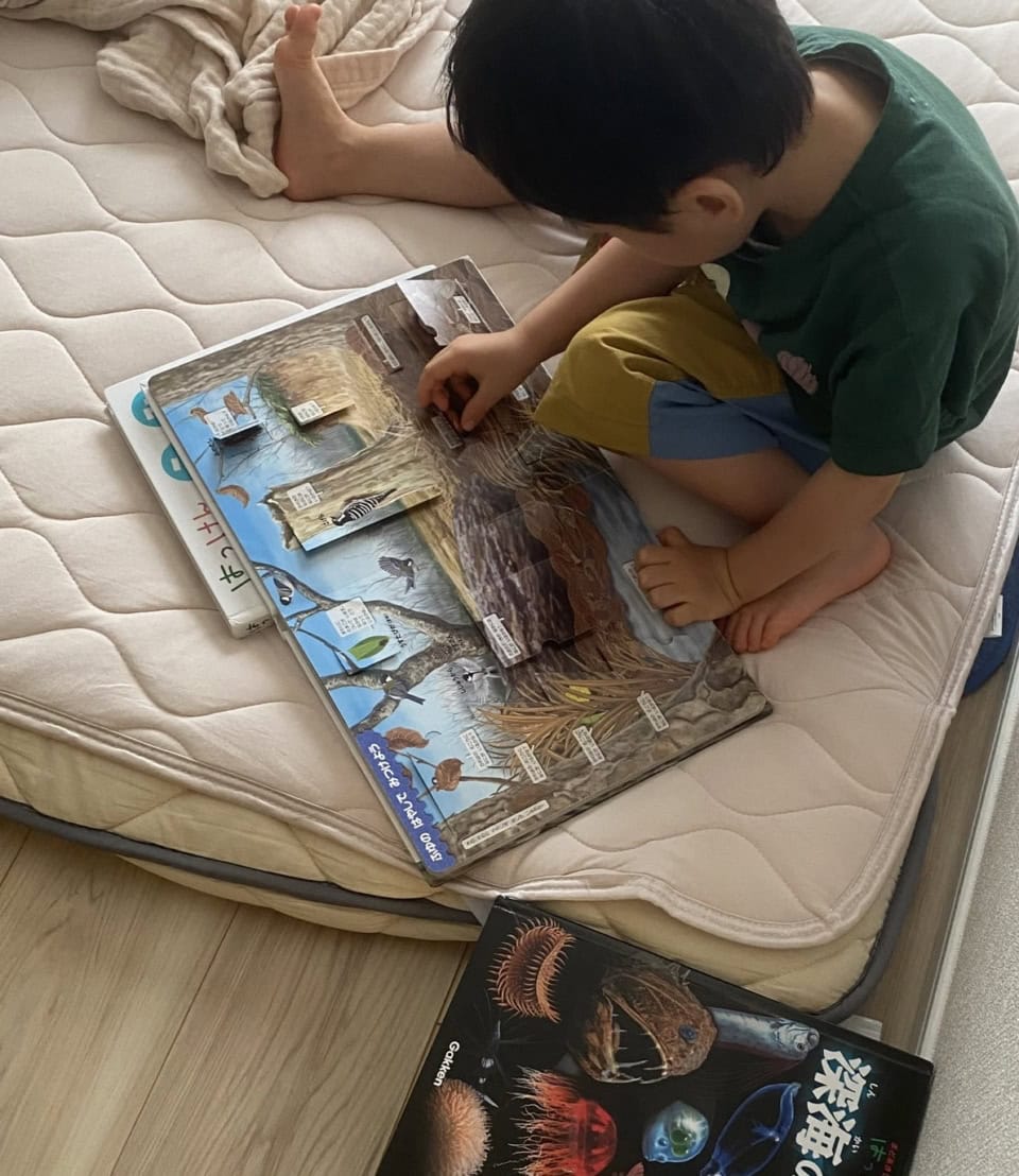 ママ編集者が選ぶ絵本10選】「数がかぞえられるようになった」「どうぞ