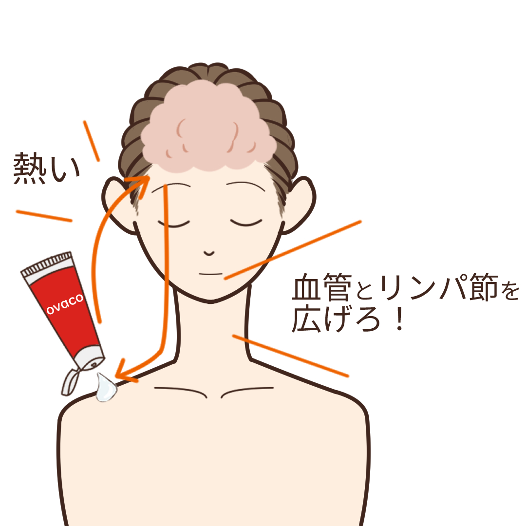 オバコ アクティブクリーム（70ml） - ovaco（オバコ化粧品）【株式