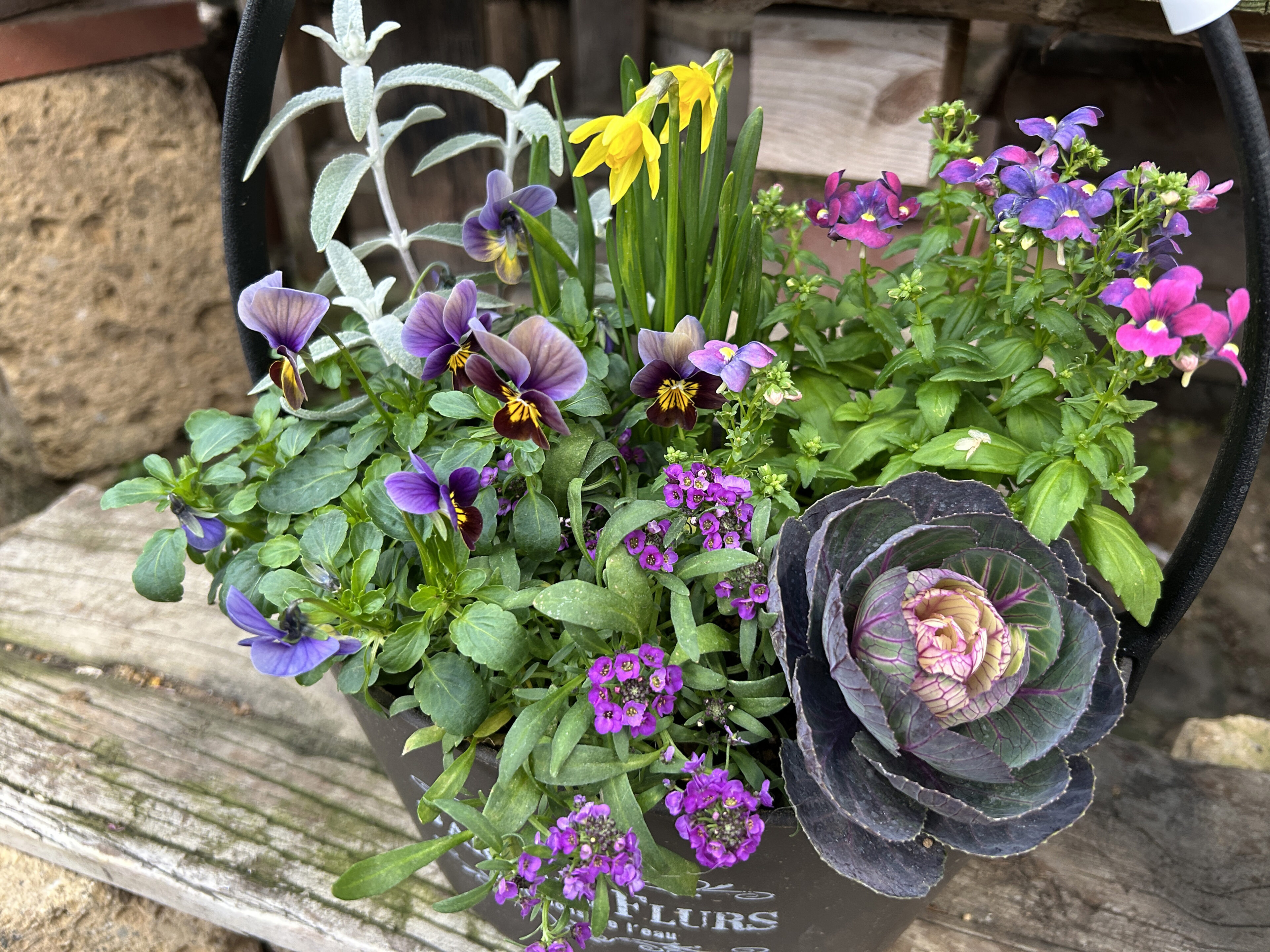 1F 花苗売場よりセール中のオススメ商品ピックアップ! | オザキ