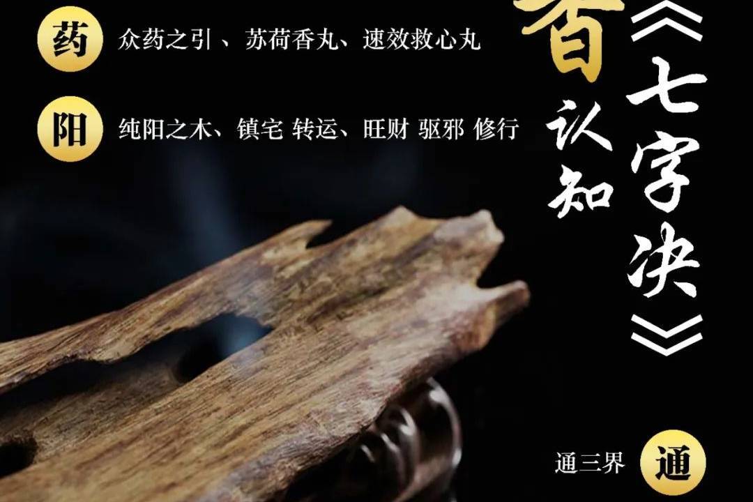 981a76dacd2f438b94bc1cd6262691