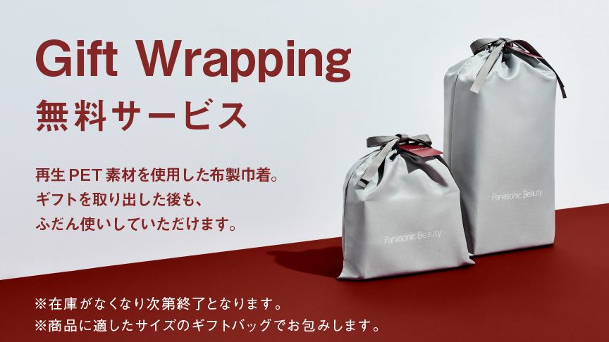 購入 スチーマー ナノケア / 温冷・化粧水ミストタイプ EH-SA0B