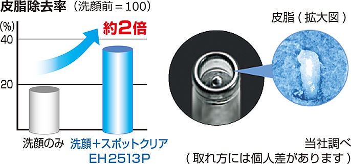概要 毛穴吸引 スポットクリア EH2513P-K | メンズグルーミング
