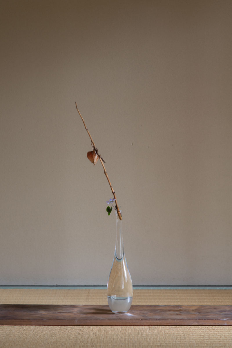 Feature | 瀬沼健太郎 | panorama