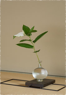 Feature | 瀬沼健太郎 | panorama