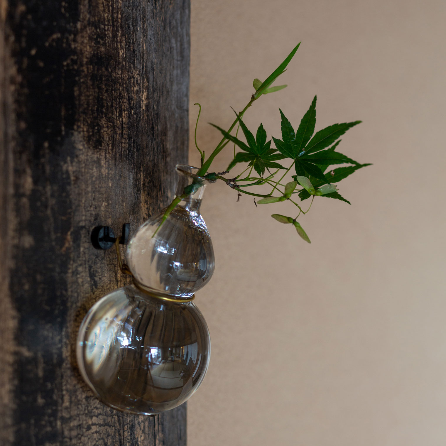 モール瓢掛花入 | Works | 津田清和 | panorama