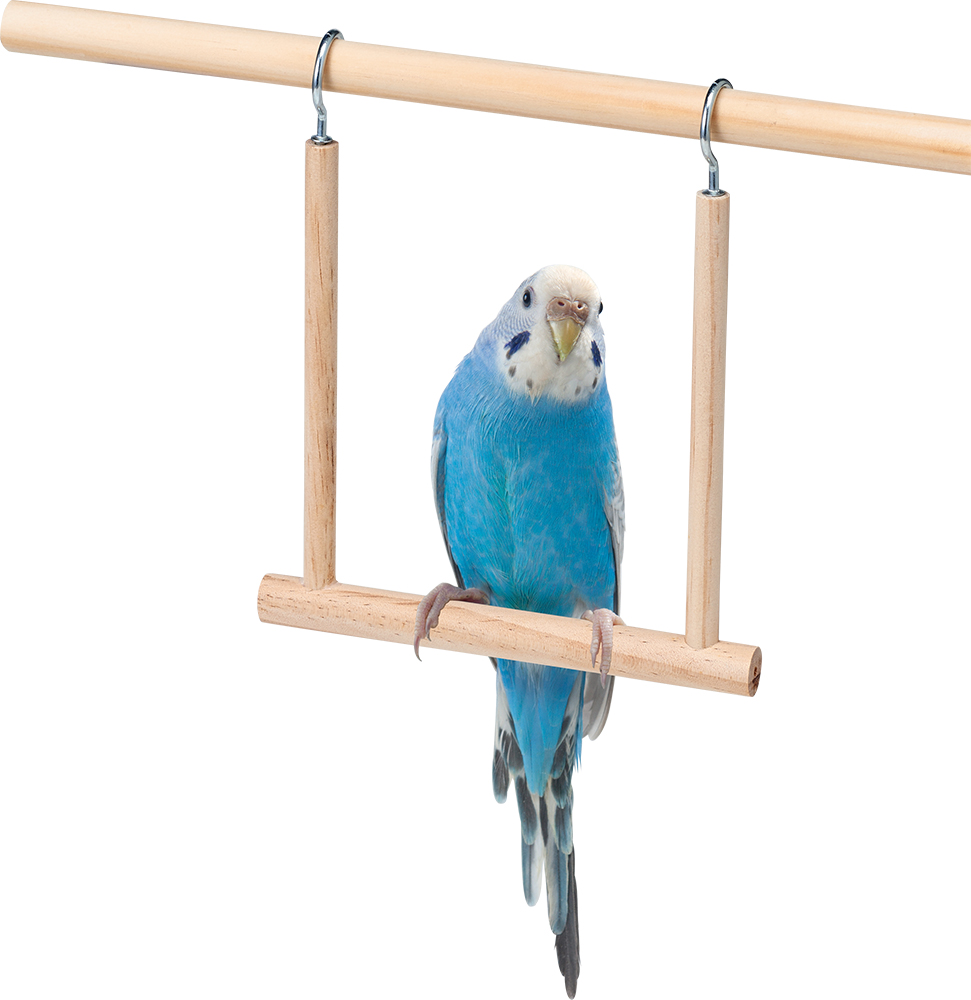 小鳥の遊び場 ブランコ│マルカンの製品一覧｜ペット用品ならマルカン