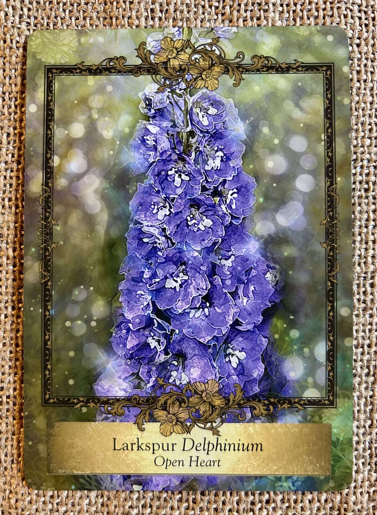 Alchemy Flower Oracle | Parting the Mists