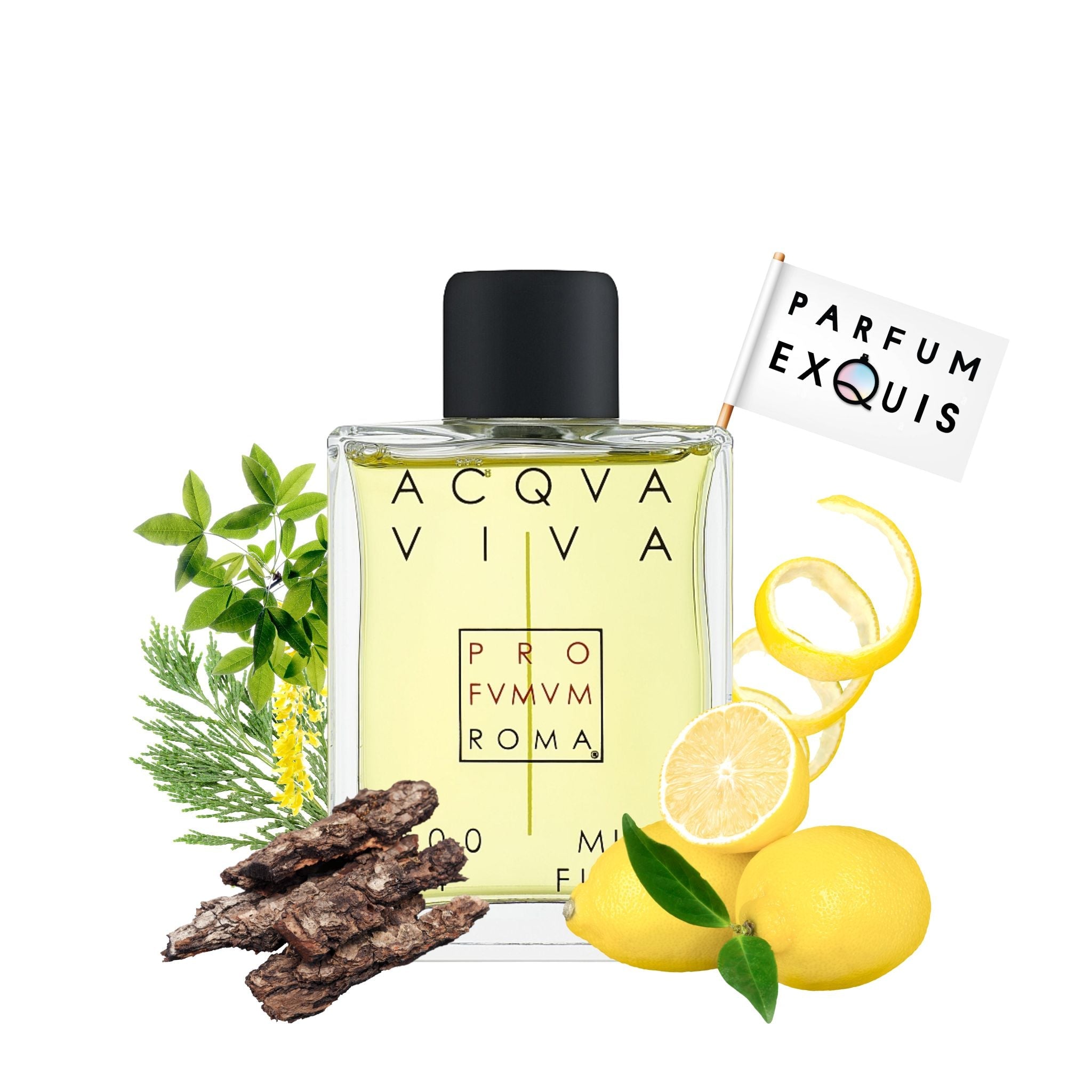 Acqua Viva by Profumum Roma: Mediterranean&Citrus · Parfum Exquis US