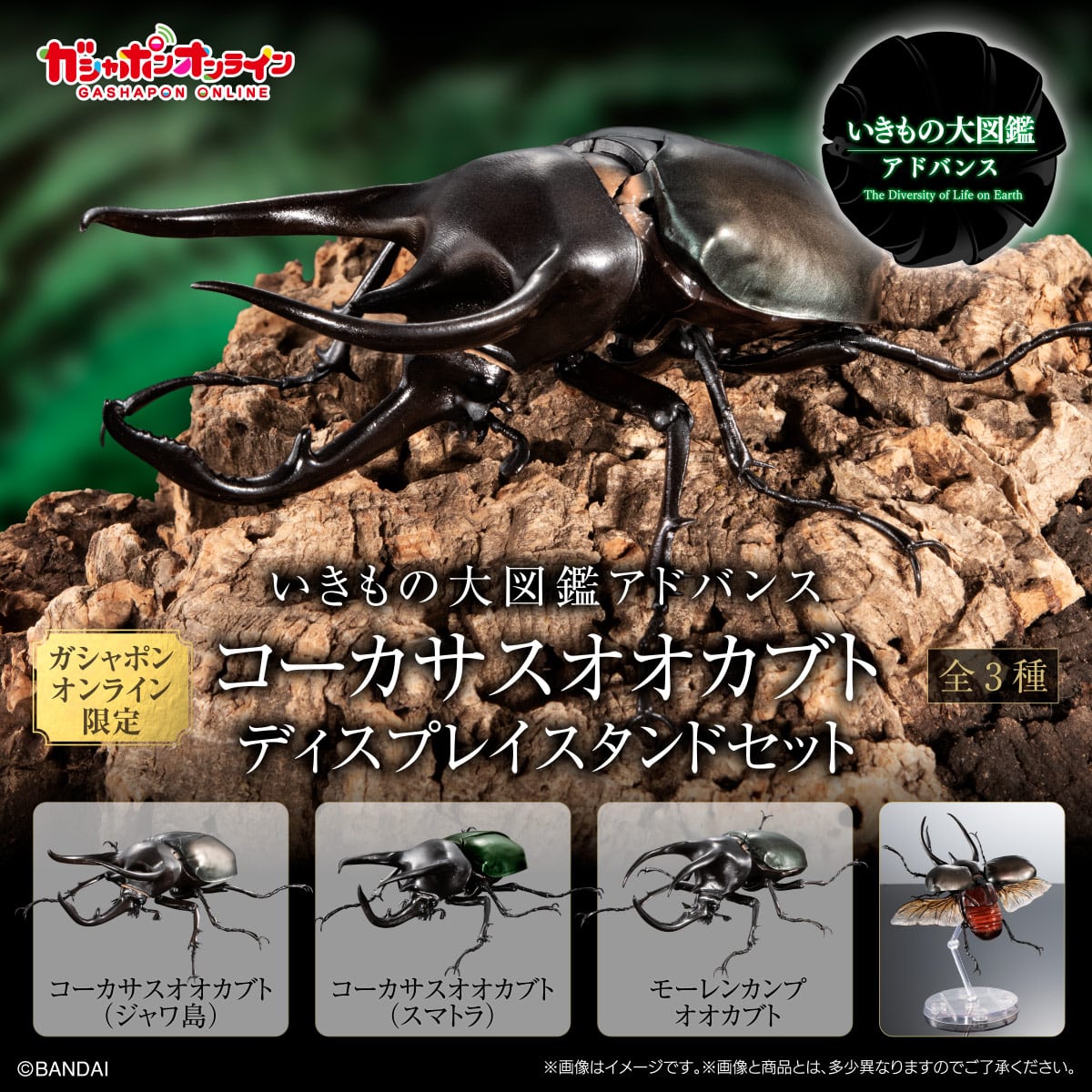 いきもの大図鑑アドバンス コーカサスオオカブト ディスプレイスタンド