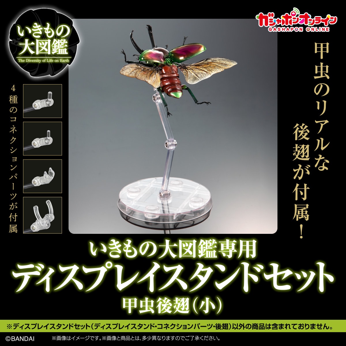 いきもの大図鑑専用 ディスプレイスタンドセット 甲虫後翅（小