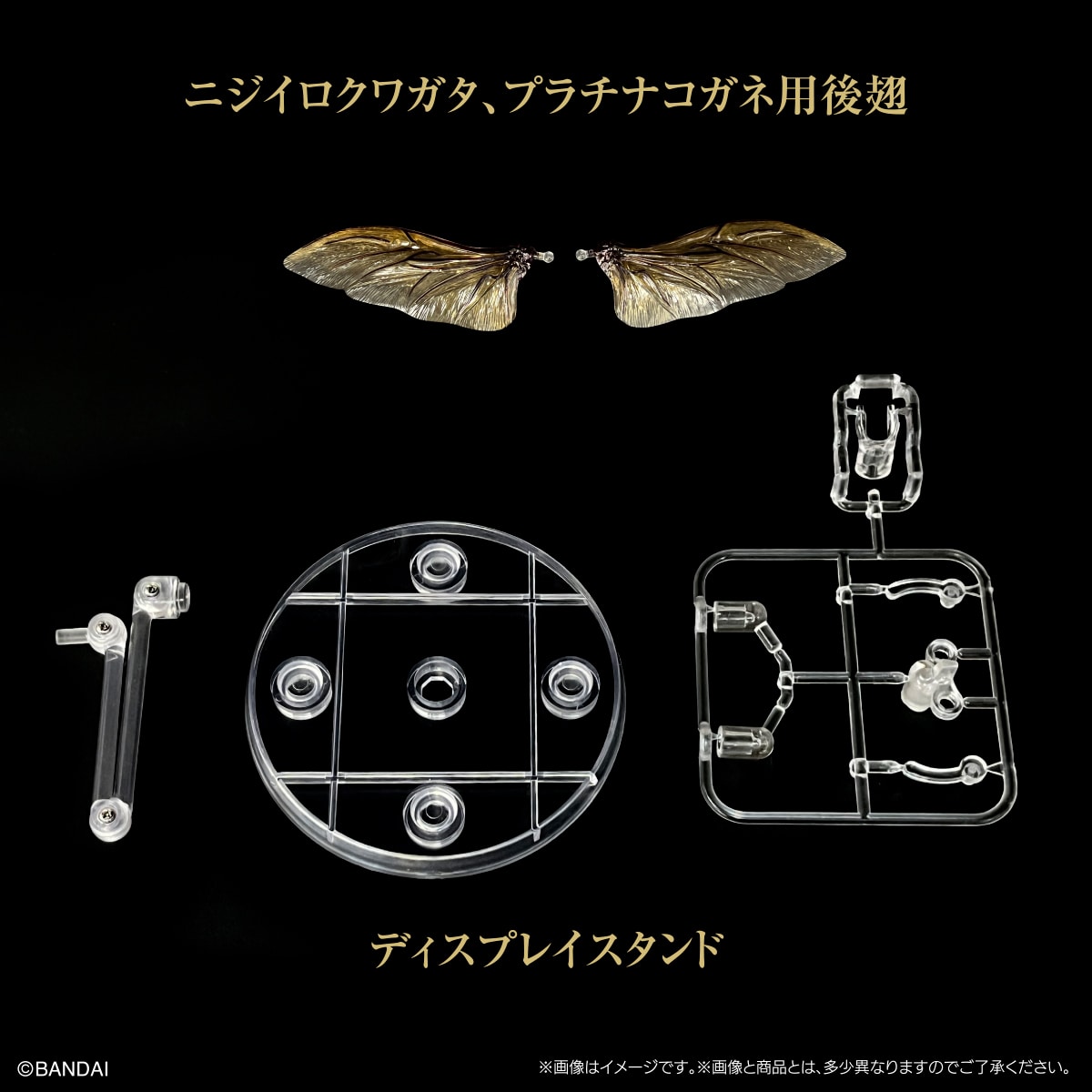 いきもの大図鑑専用 ディスプレイスタンドセット 甲虫後翅（小