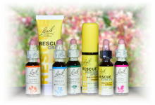 ぐずぐずして行動を起こさない」 に役立つバッチフラワーレメディ | e