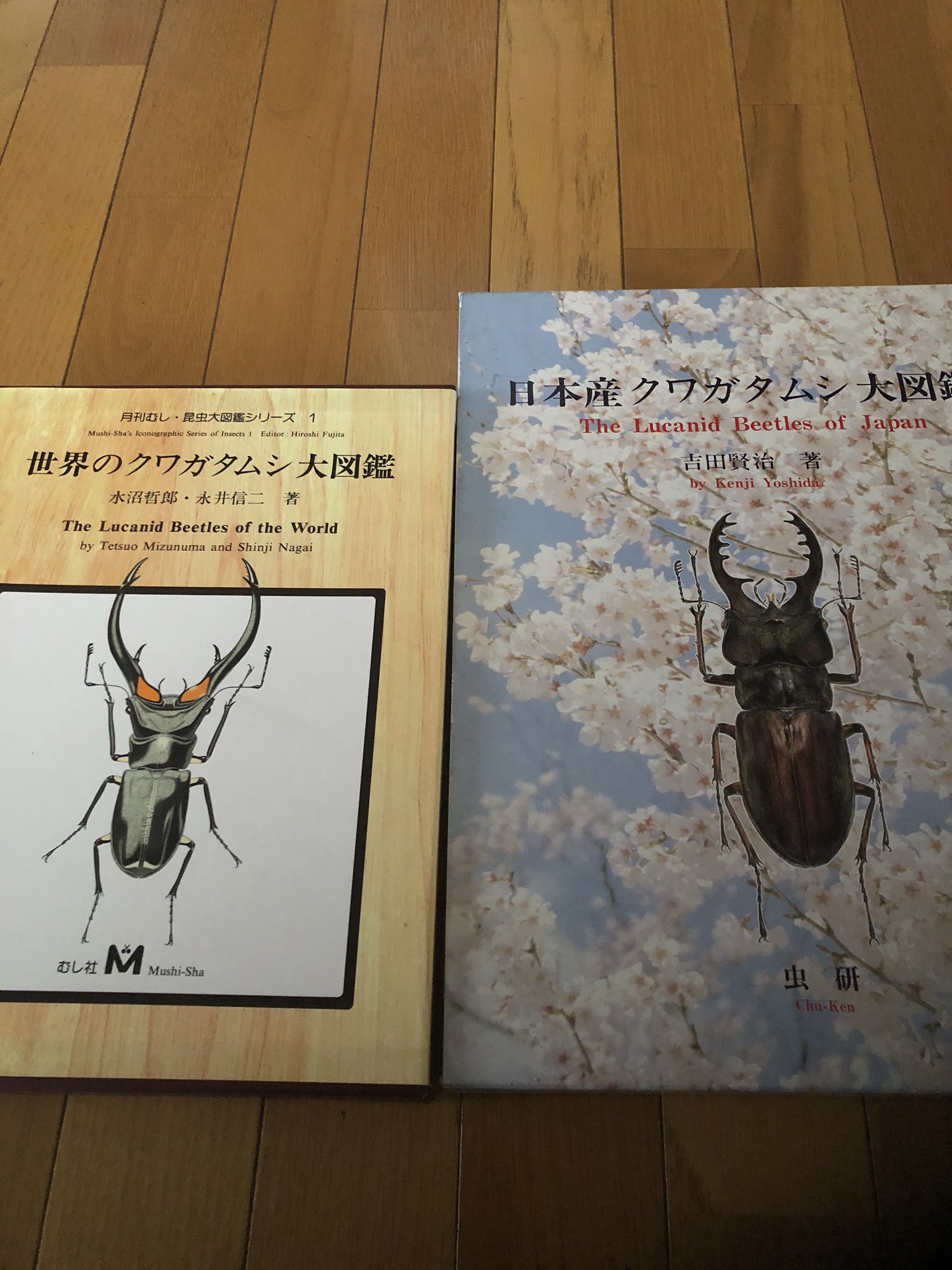 日本産クワガタムシ大図鑑／吉田賢治／虫研