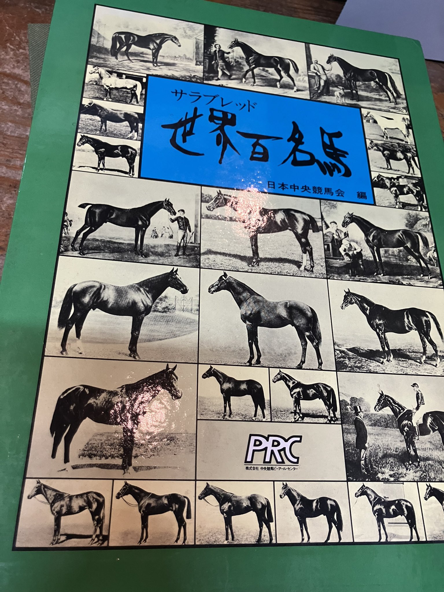 日本サラブレッド配合史: 日本百名馬と世界の名血の探究 jl3 日本