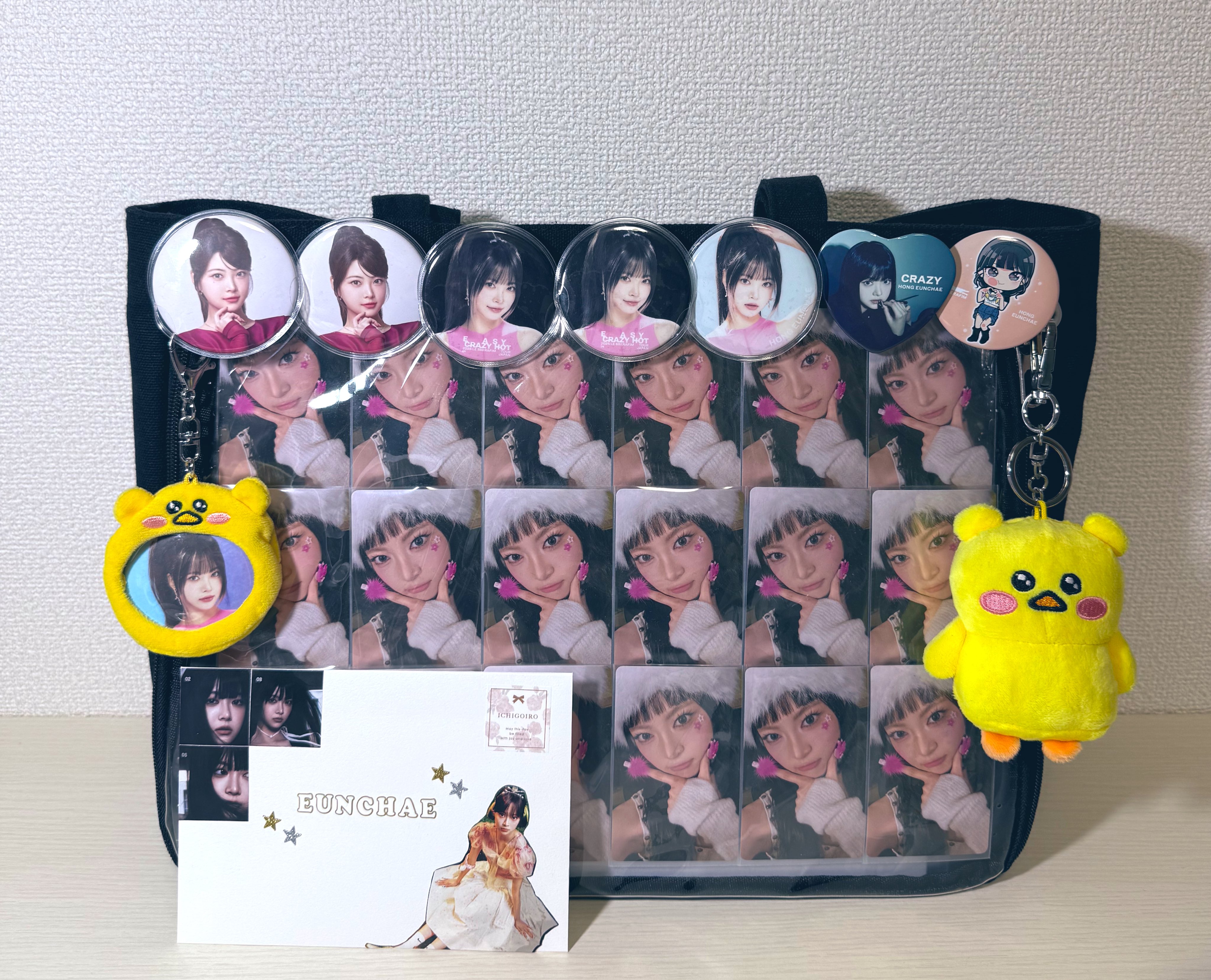 チェウォン トレカケース トレカ51枚セット 交通カード チェウォン