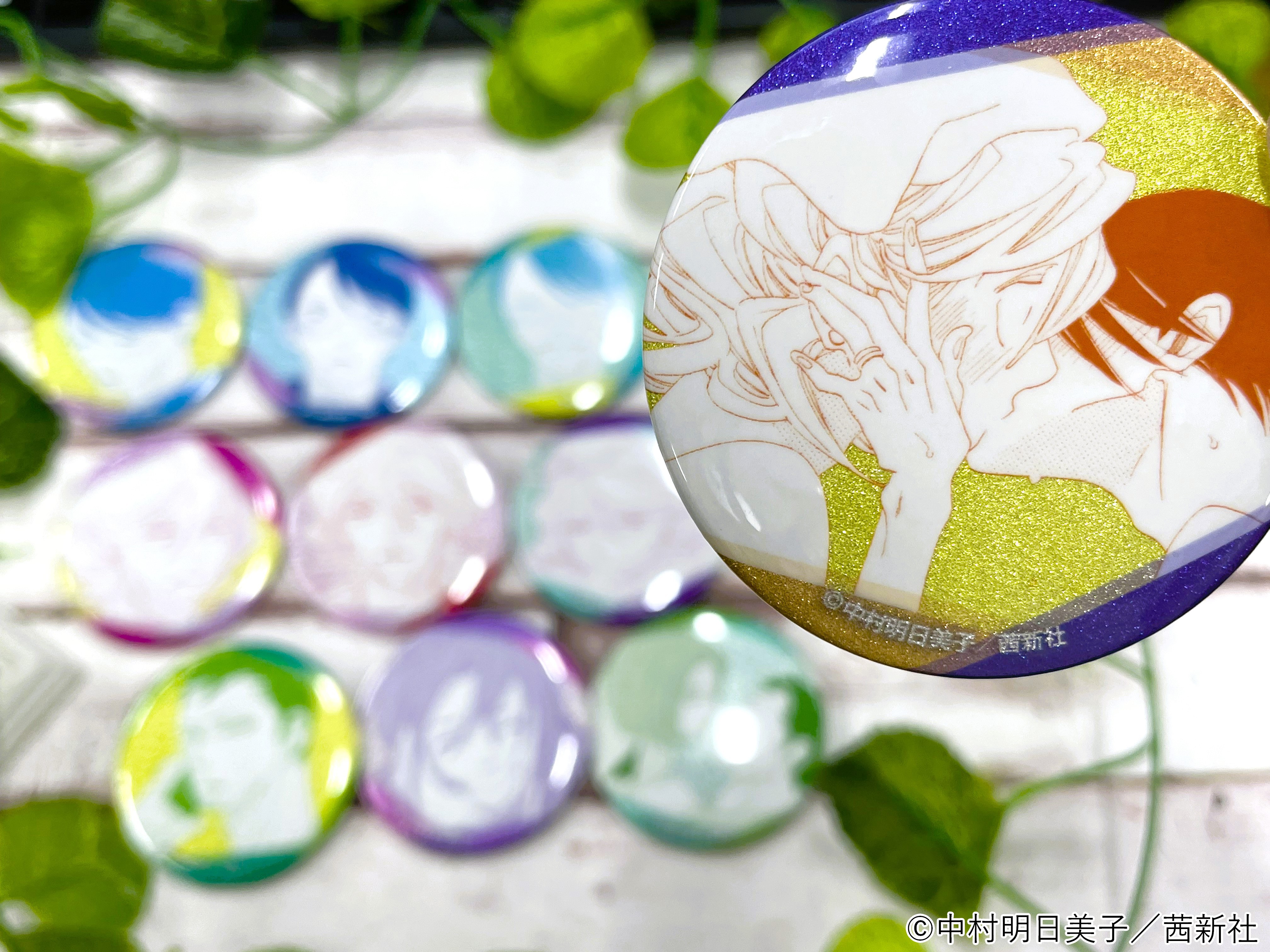 同級生 缶バッジコレクション ガチャガチャ 中村明日美子29個セット