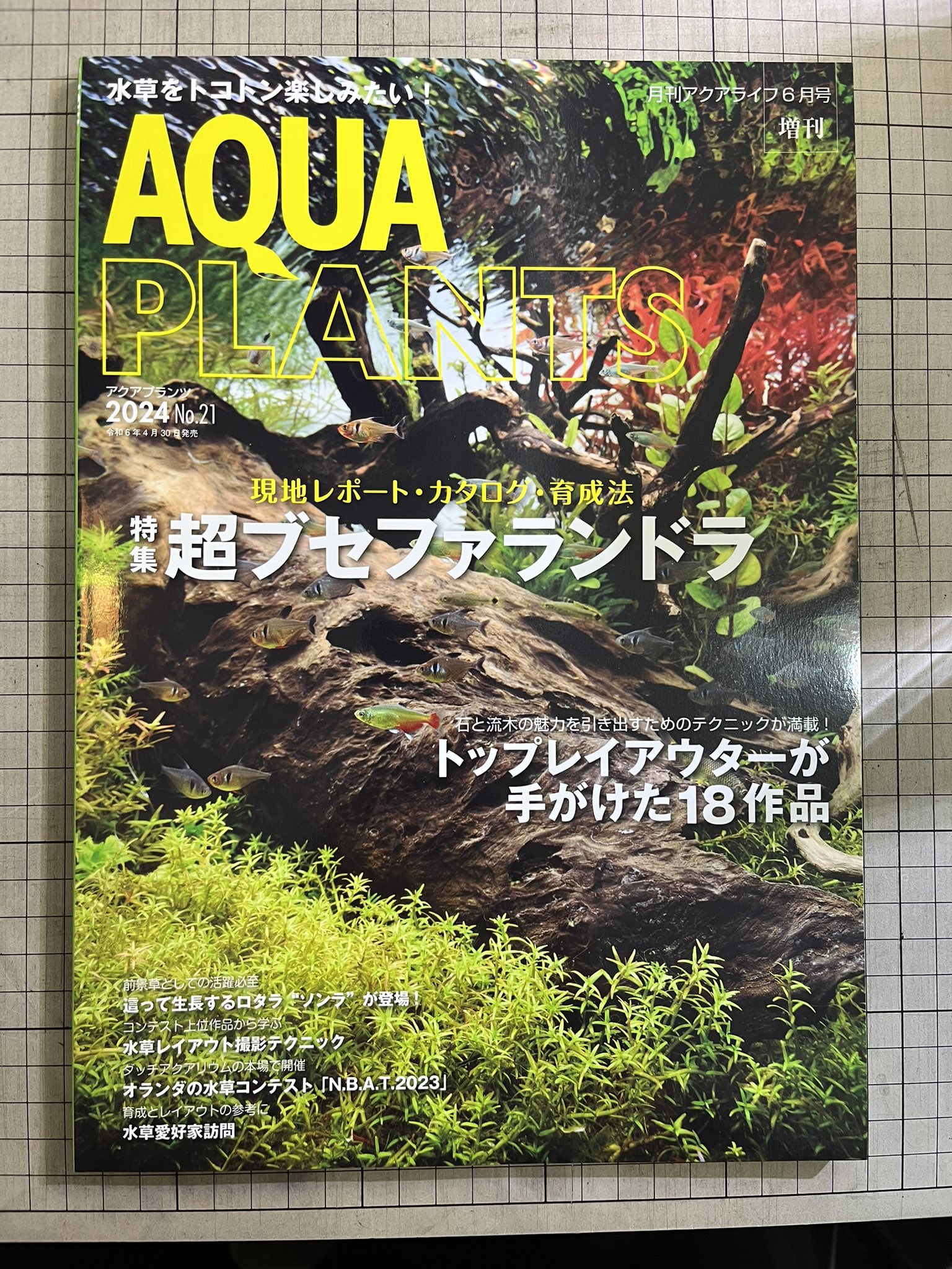 アクアプランツ AQUA PLANTS No.1～No.12 アクアライフ増刊 【公式通販】