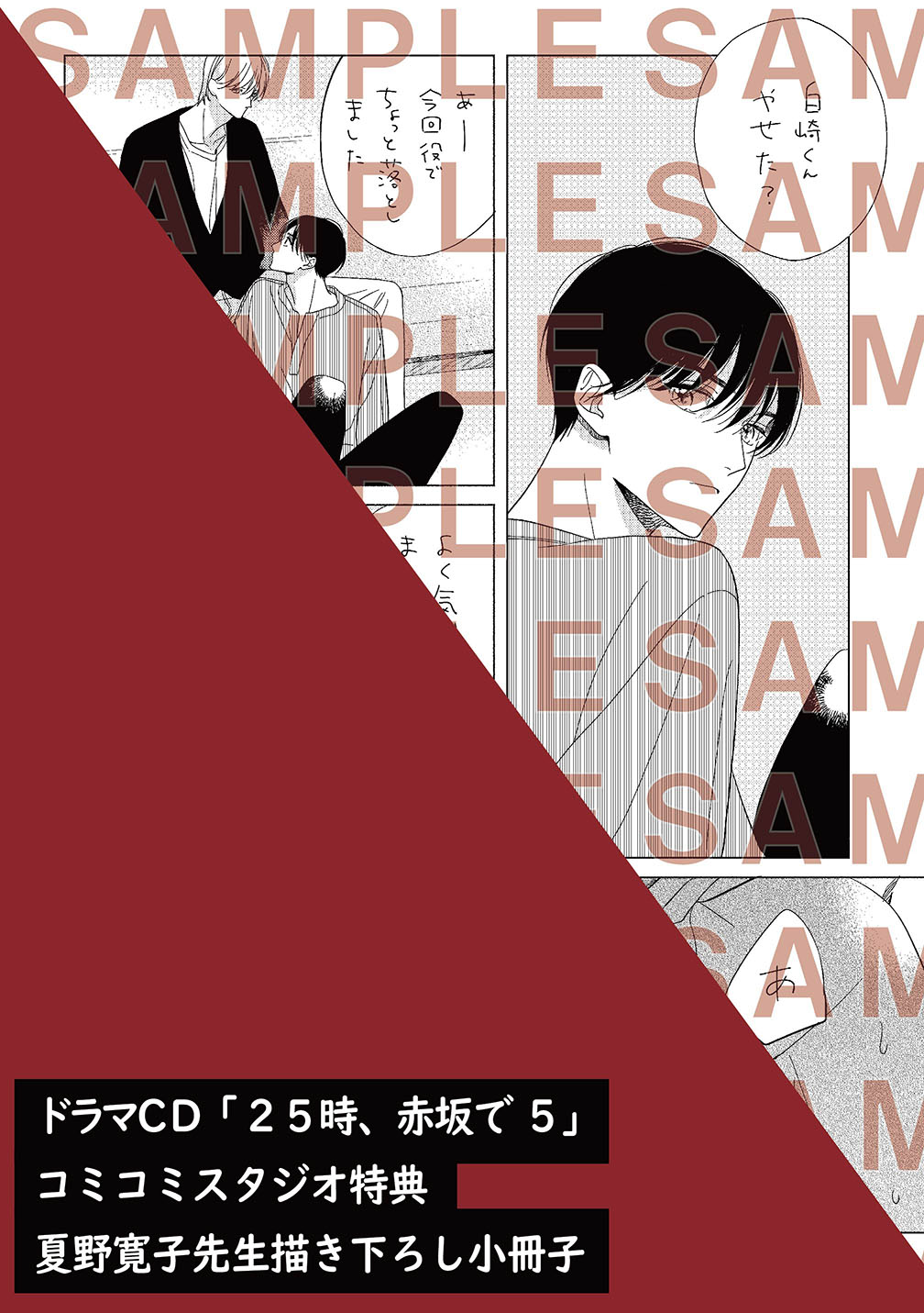 25時、赤坂で2 夏野寛子 リーフレット 小冊子付き 夏野寛子 25時、赤坂