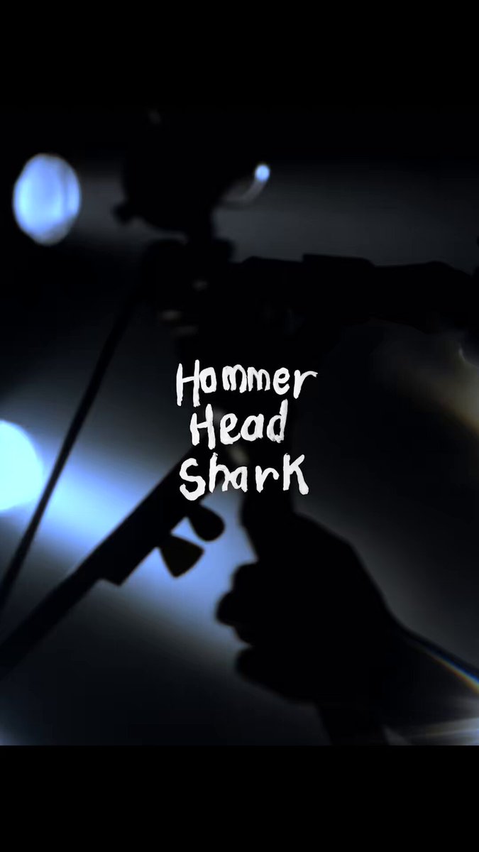 ♓️自主企画♓️ 2026/3/20(金・祝)新代田FEVER Hammer Head Shark