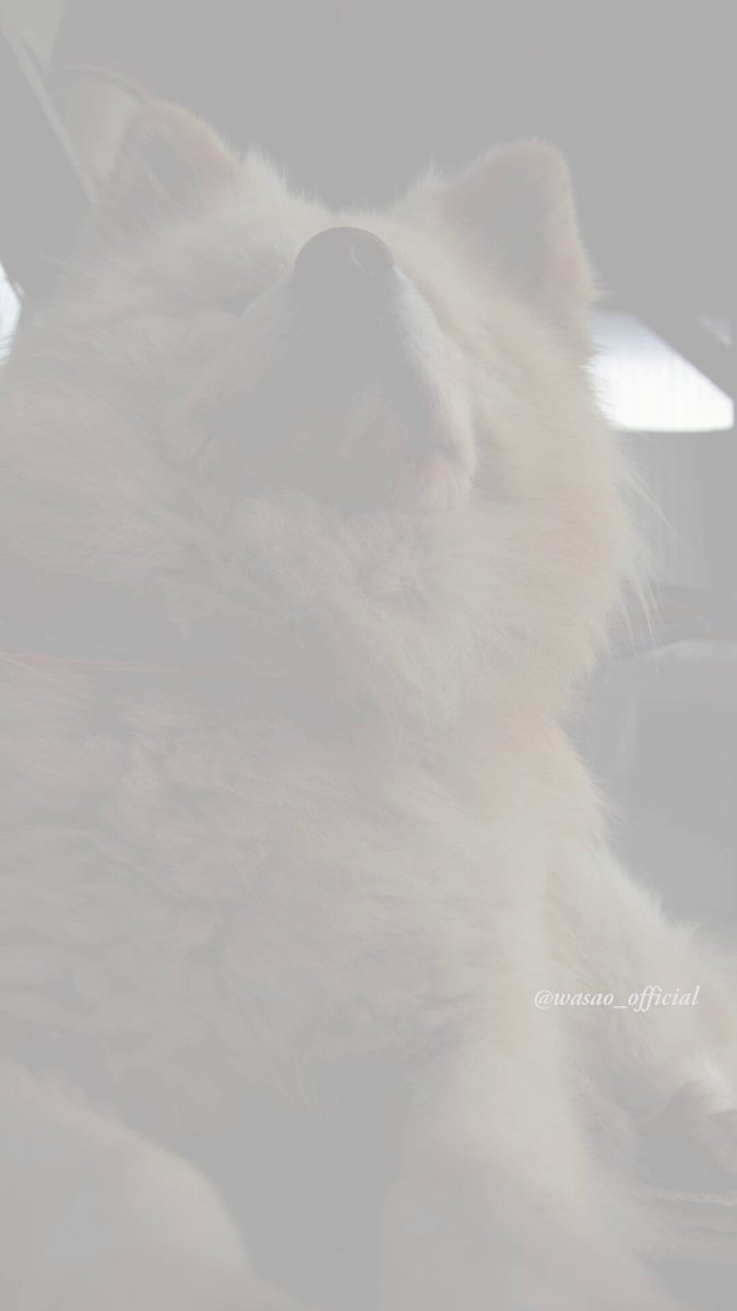 わさお公式 (@WASAO_official) / Posts / X