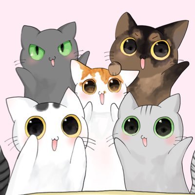 ねこほうママ (@hamaromiko) / Posts / X