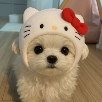 SUBU × ANNA CHOI × LE CIEL BLEUの秋冬サンダル🤍リボンのベルベット