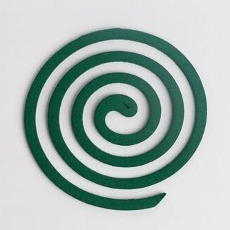 新型テレビに出演してた、ムーンライトジェリーフィッシュの頃の竜也