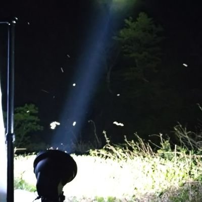 今峰 (@Not_ProductName) / Posts / X