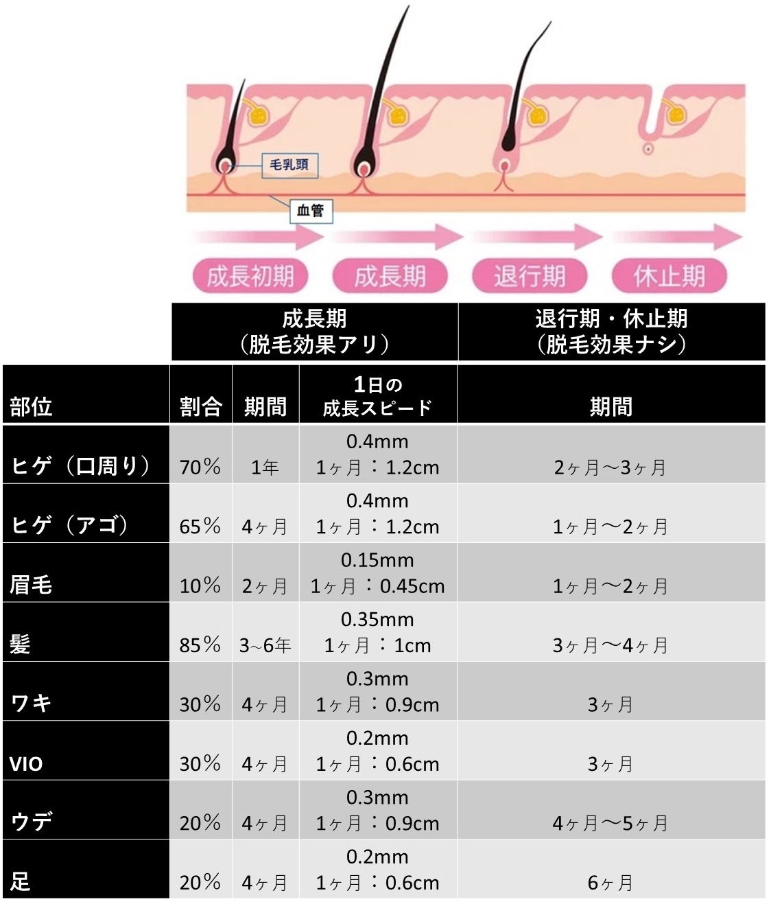 ケノン前は何ミリまで剃ればいい？ベストな体毛の長さ・照射周期・VIO
