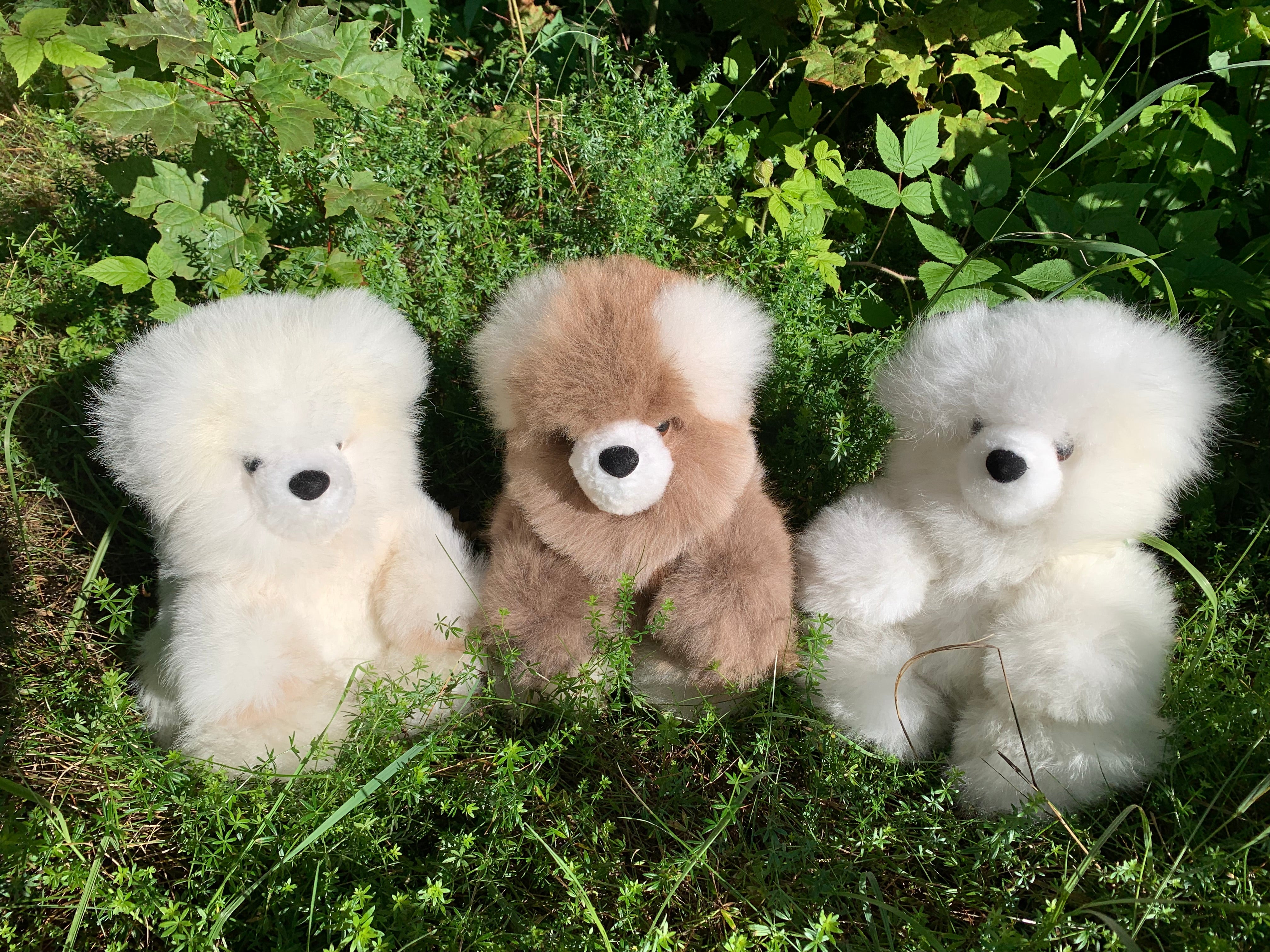 Sitting Alpaca Teddy Bear – Peruvian Link Alpaca Collection
