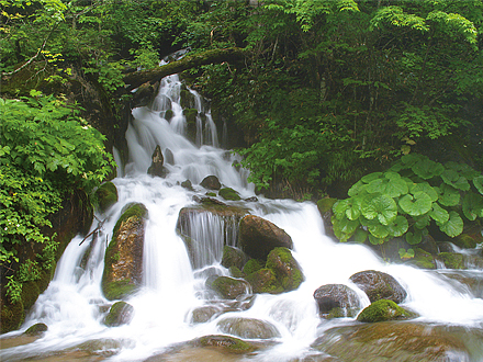 多彩な撮影表現 PowerShot SX740 HS：コンパクトデジタルカメラ｜個人